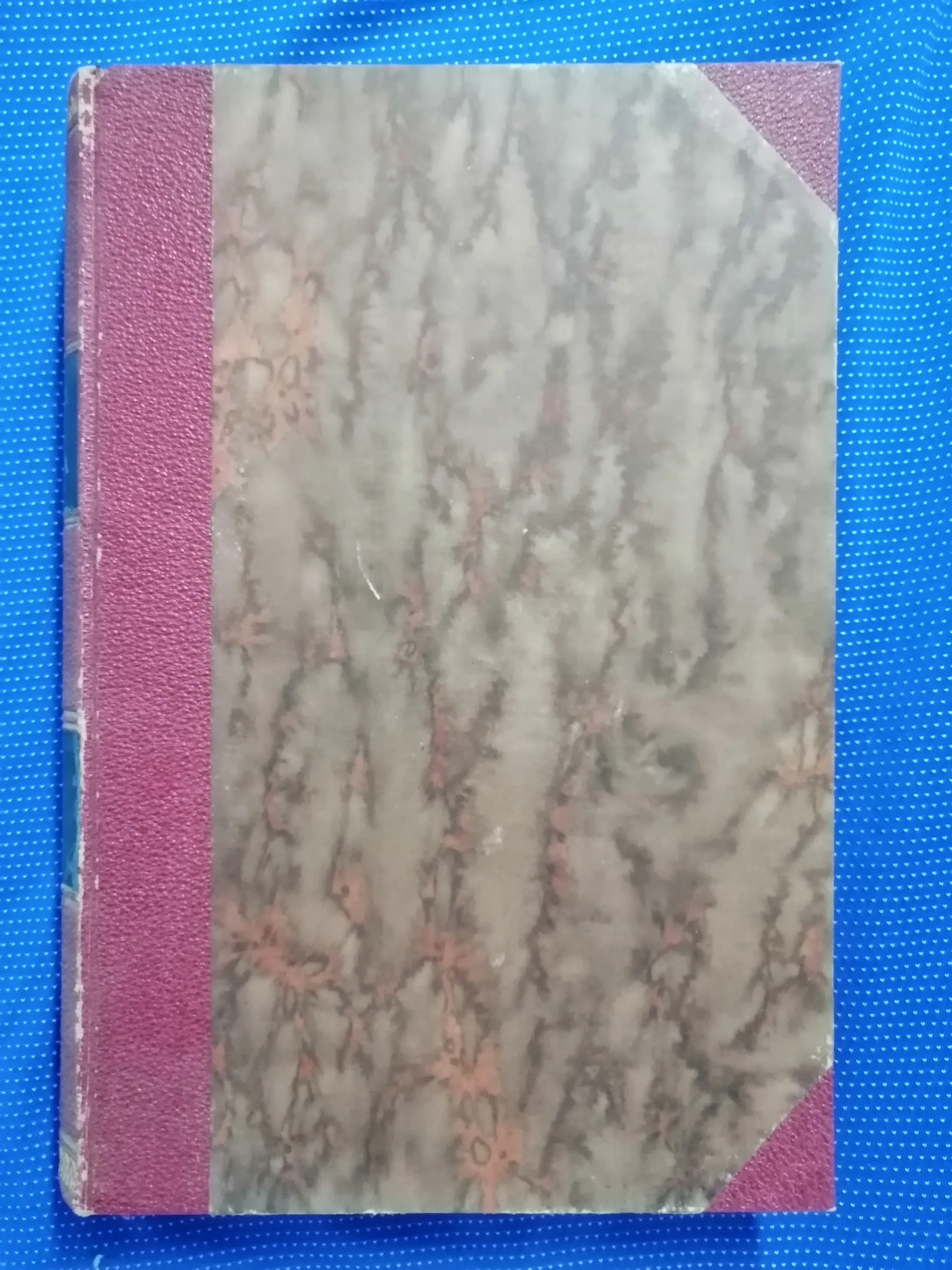 Povijesni spomenici slobodnoga kraljevskoga grada Zagreba 5 (Z19) - cover