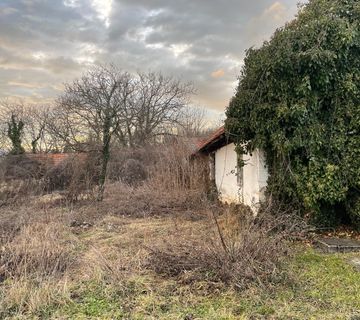 BRIŠKA STARA KUĆA SA ZEMLJIŠTEM 2918 m2 - cover