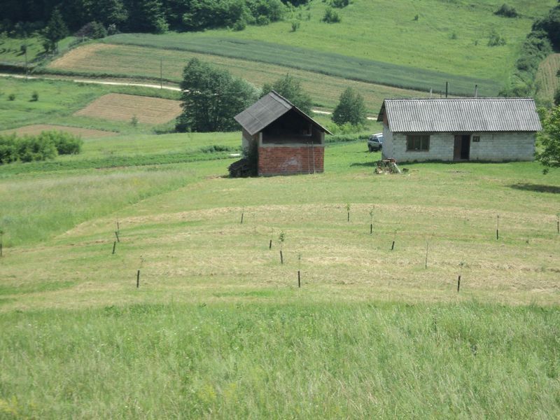Fotografija