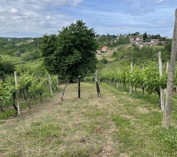 VINOGRADARSKA KUĆA Vrtlinovec, 9 m2!! - cover
