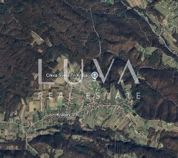 Jakovlje, Kraljev Vrh, šuma 31448m2 na prodaju - cover