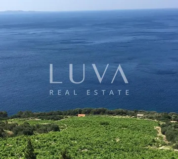 Pelješac, Potomje, zemljište 50.000 m2 s vinogradom na prodaju - Potomje, Orebić