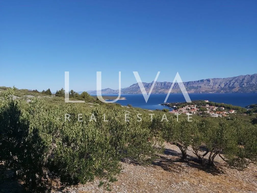 Brač, Povlja, zemljište s maslinikom i pogledom na more, 3839 m2 - cover