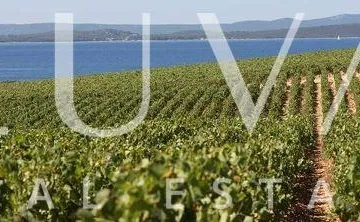 Tisno, Murter, prodaja ljetnikovca na osami, prvi red uz more - cover