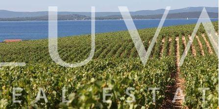 Tisno, Murter, prodaja ljetnikovca na osami, prvi red uz more - cover