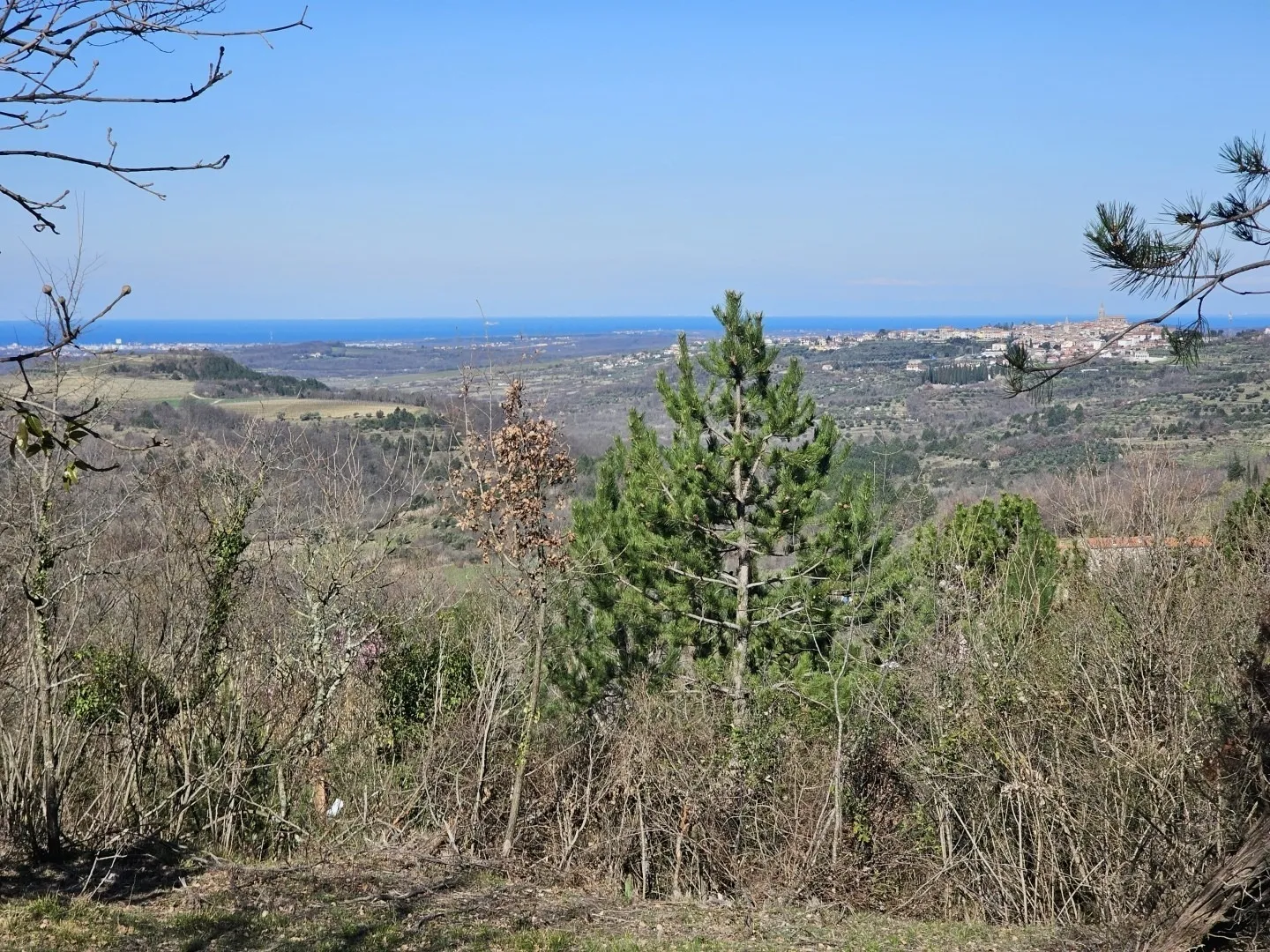 Fotografija