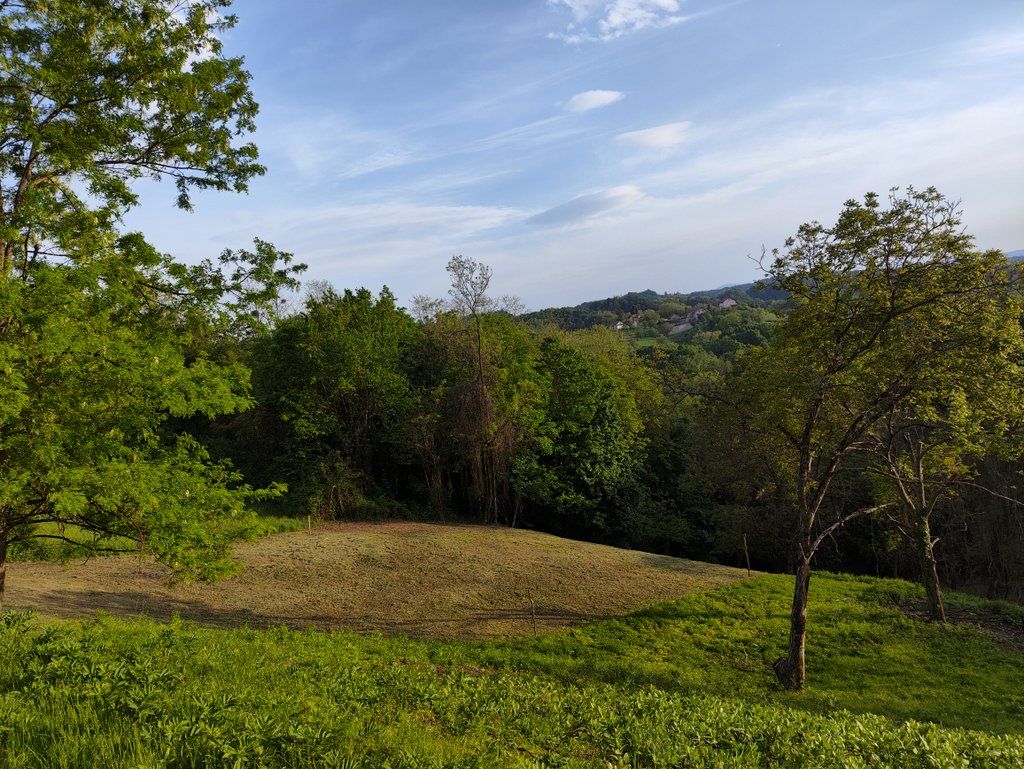 Fotografija