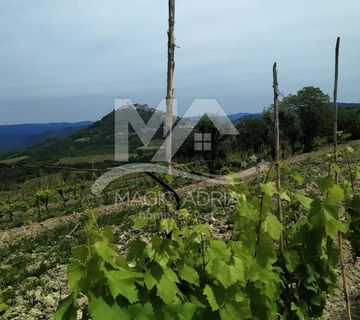 MOTOVUN, VELIKO ZEMLJIŠTE ZA GRADNJU JEDNE ILI DVIJE VILE - cover