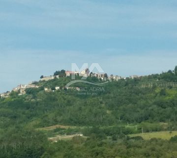 ISTRA, MOTOVUN VELIKO ZEMLJIŠTE ZA GRADNJU KUĆA I VILA - cover