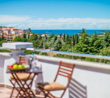 MANJI HOTEL SA UHODANIM BIZNISOM POREČ - cover