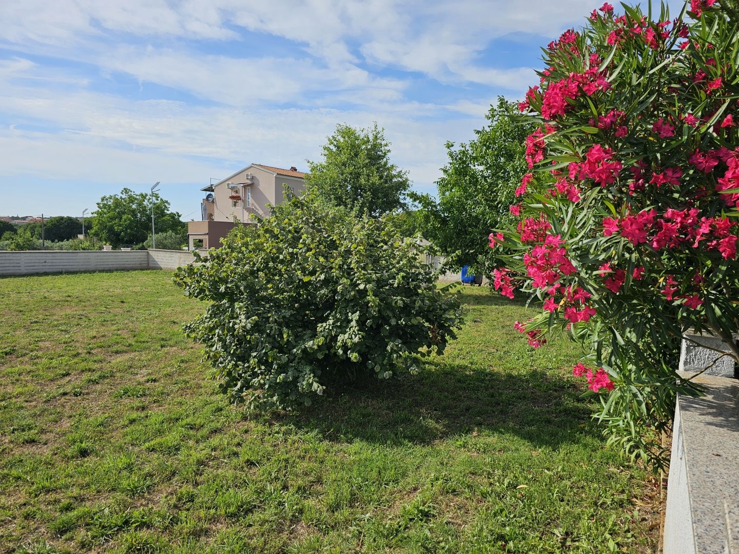 Fotografija