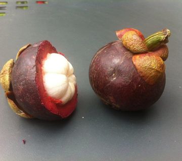 Mangosteen - cover