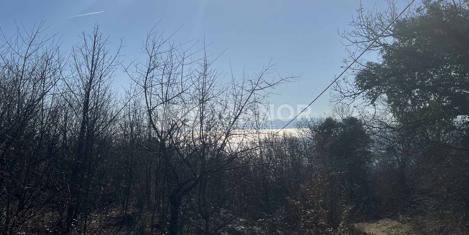 Fotografija