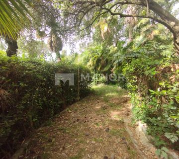 OPATIJA, CENTAR - Prekrasna austrougarska vila s prostranom okućnicom, 50 m od mora - cover