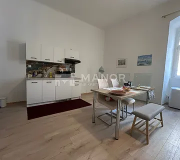 RIJEKA, STROGI CENTAR - Adaptirana garsonijera, 30 m2 - cover