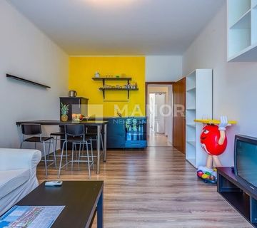RIJEKA, BELVEDER - Dvije adaptirane stambene jedinice s 2 ulaza, 83 m2 - cover