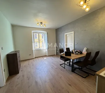 RIJEKA, CENTAR- Stan za najam,  2S+DB, 55m2 - cover