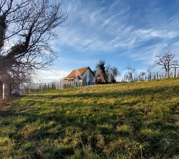 OZALJ, VIVODINA - Starina s okućnicom, hitna prodaja! - cover