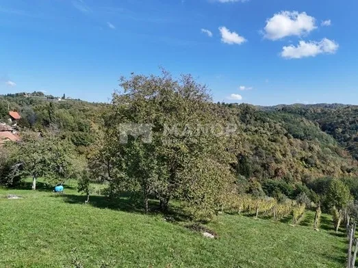 Fotografija