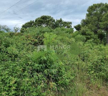 ISTRA, BUJE - Građevinsko zemljište s pogledom na more, 872 m2 - cover