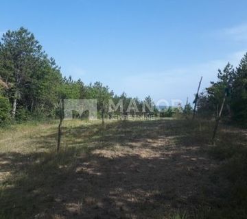 ISTRA, BUZET - Poljoprivredno zemljište, 2200 m2  - cover