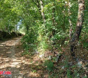 ISTRA, SVETI LOVREČ, GRAĐEVINSKO ZEMLJIŠTE, 1000 M2 - cover