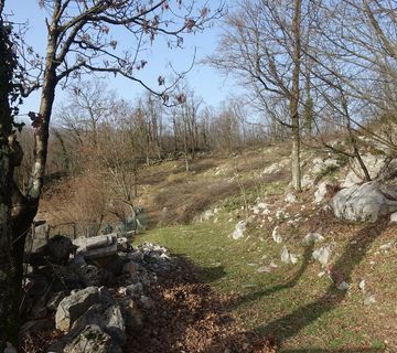 Zemljište MUČIĆI, 1.950m2 - cover