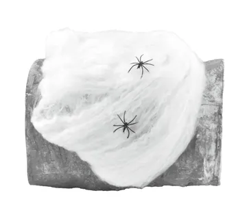 EUROPALMS Halloween Spiderweb white 20g UV-active - cover