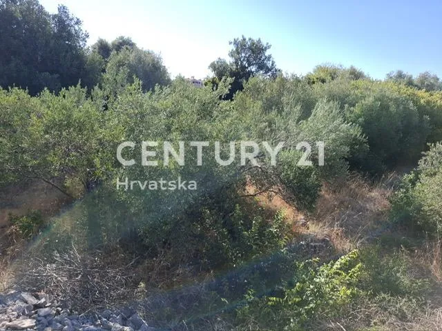 Fotografija