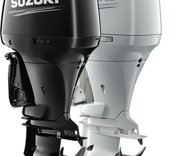 SUZUKI DF250AP - cover