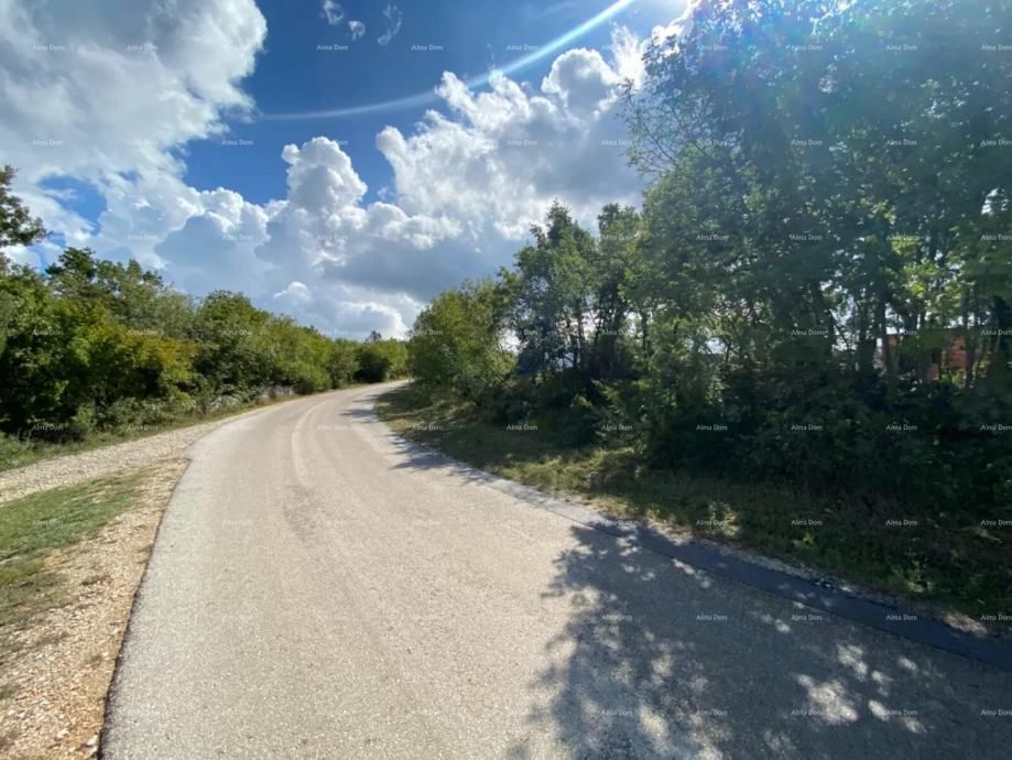 Fotografija