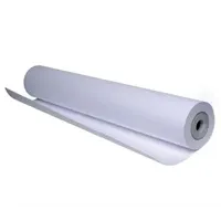 Papir DIT-JET BOND 80g/m2 29,7cm*50m P/N: CC1C-A0205 - Zagreb