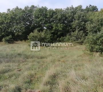 Istra, okolica Bala, poljoprivredno zemljište od 6.810m2 - cover