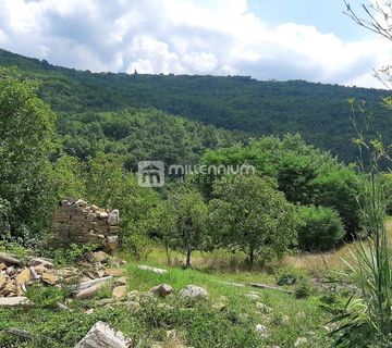 Istra, Sovinjak, 1.373 m2 građevinskog i 55.000m2 poljoprivrednog - cover