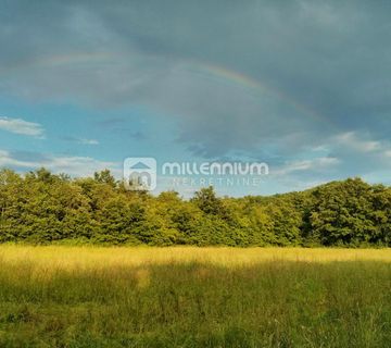 Istra, Labin, poljoprivredno zemljište od 24.999m2 - cover