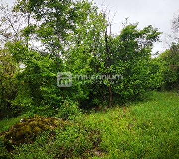 Istra, Ročko Polje, 66.228m2 šume i livade - cover