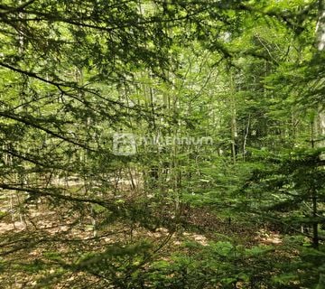 G. Kotar, Bosiljevo, 100.581m2 negrađevinskog zemljišta - cover