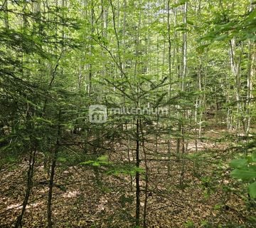 Bribir, 9.758m2, građevinsko zemljište - cover