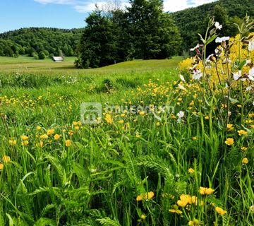 Gorski Kotar, Begovo Razdolje, 1.406m2 građevinskog terena - cover