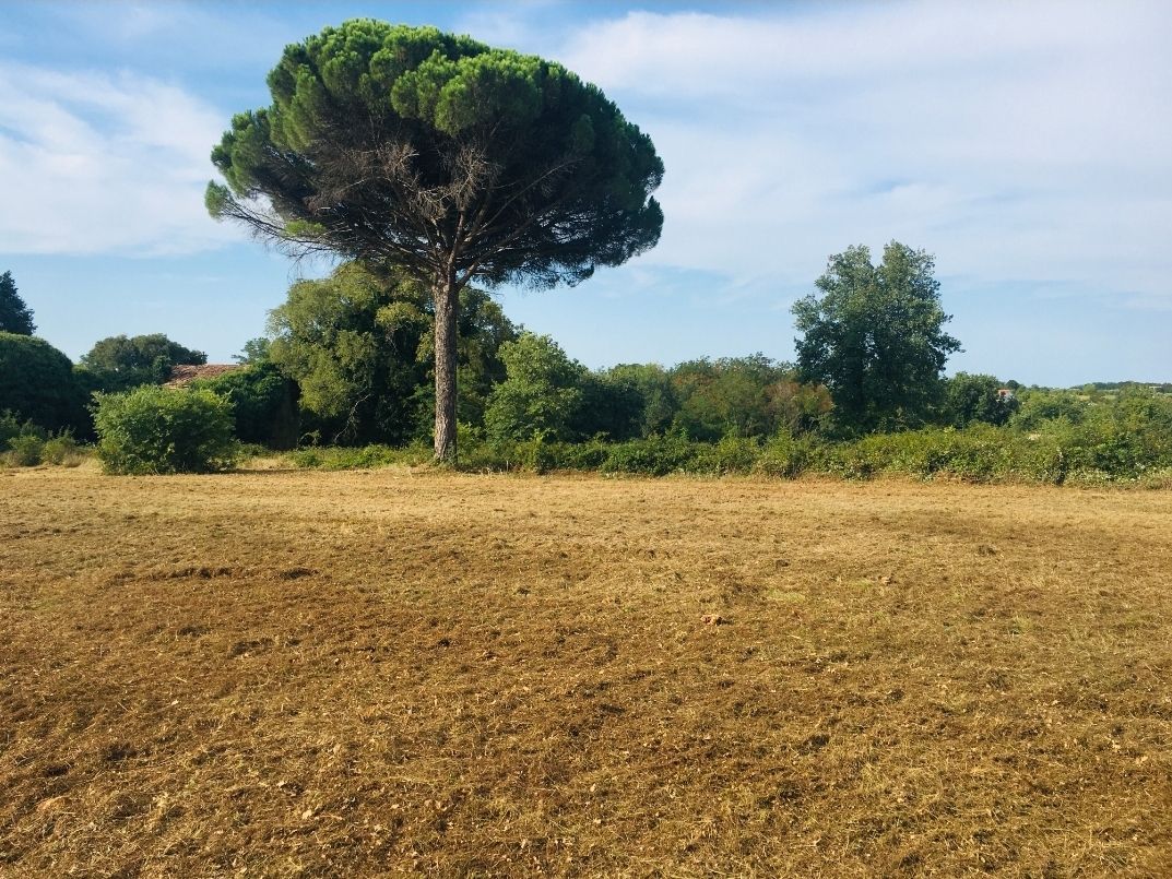 Fotografija