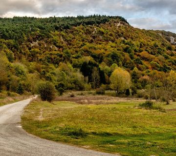 Poljoprivredno zemljište na prodaju, Lanišće, Istra - cover