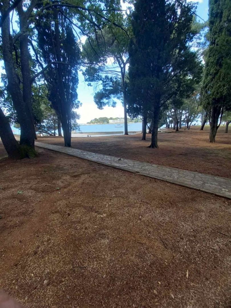 Fotografija