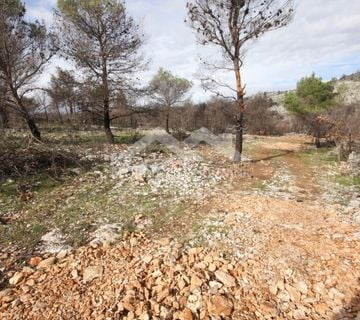 Vodice, maslinik s mogučnošću gradnje - cover