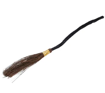 Metla za vještice - cover