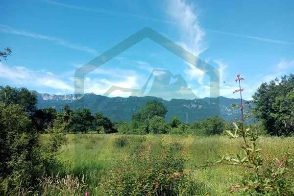 Fotografija