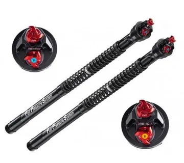 UNUTRAŠNJOST PREDNJIH VILICA - cover