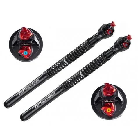 UNUTRAŠNJOST PREDNJIH VILICA - cover