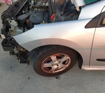 PEUGEOT 308 08-13 PREDNJI BLATOBRANI - cover