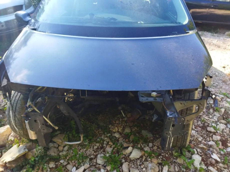 RENAULT SCENIC 2005 PREDNJA HAUBA - cover