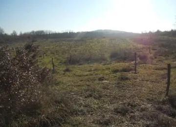 Okolica Poreča – cca 10 km od Poreča – poljoprivredno zemljište površine cca 22975 m2 - cover